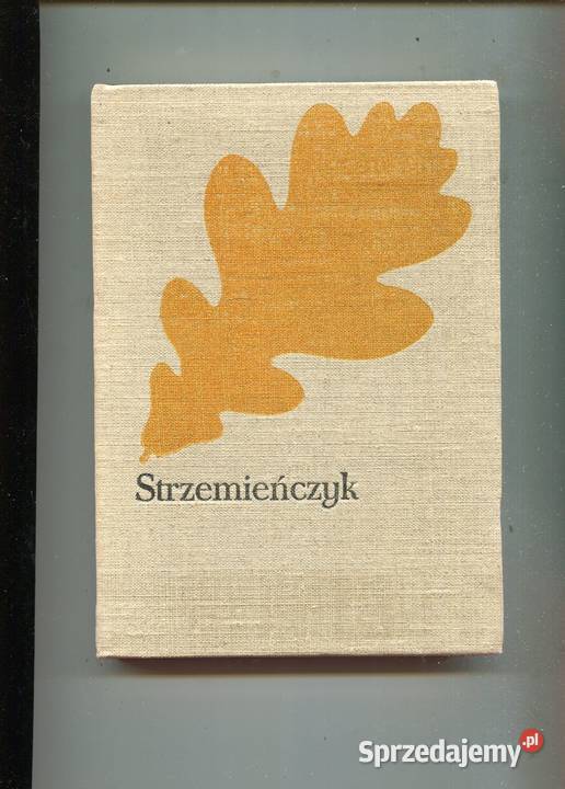Strzemieńczyk Józef Ignacy Kraszewski 3 wydania Rok wydania 1971 zachodniopomorskie Szczecin