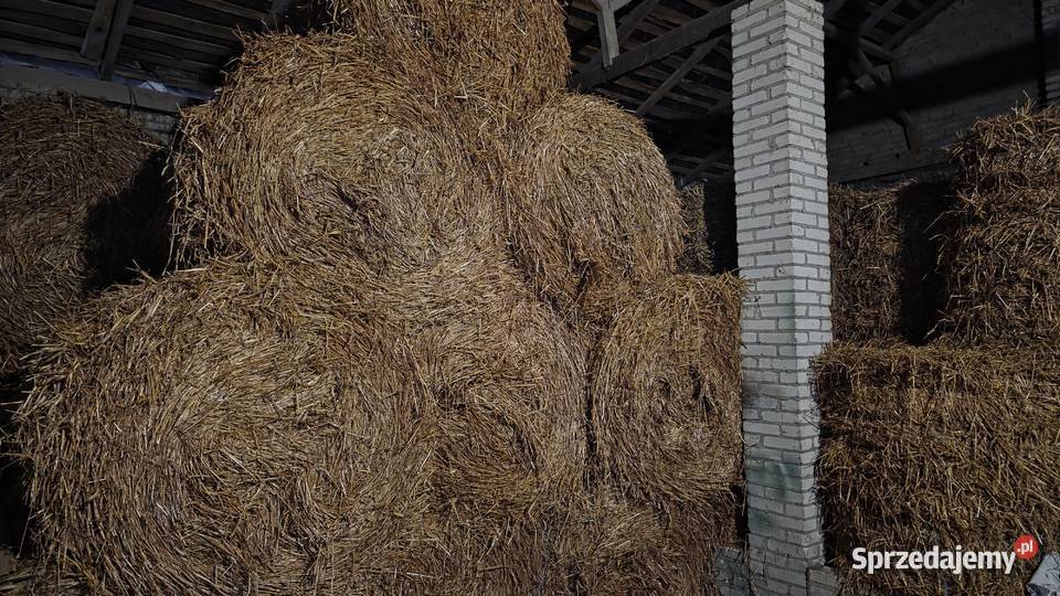 Słoma Trawy, słoma