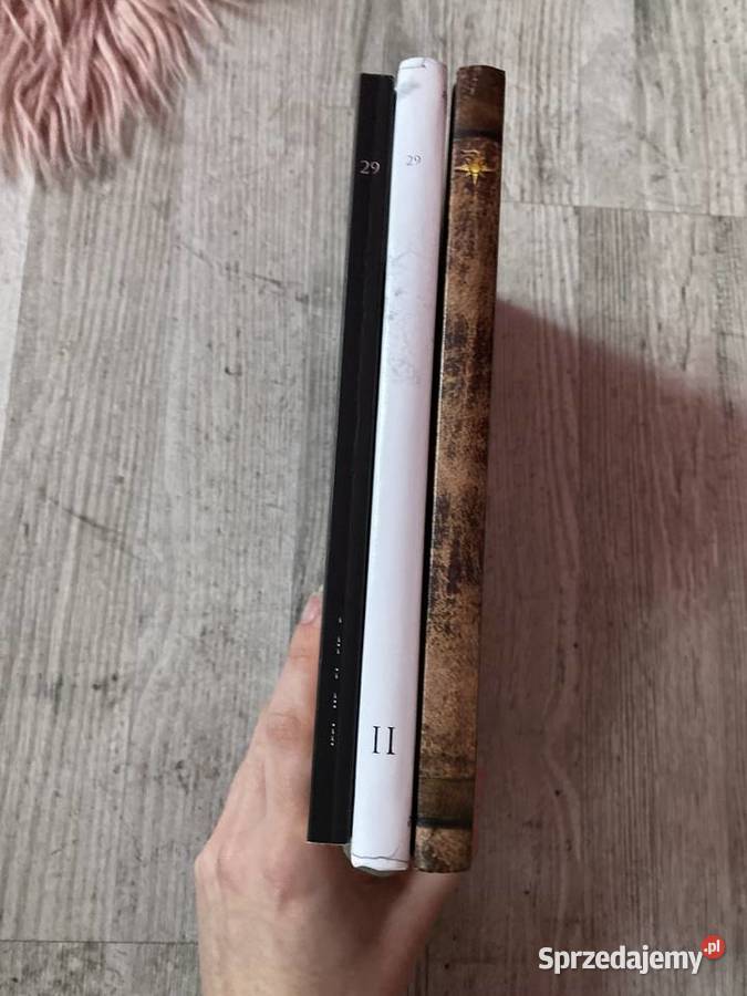 Książki dziennik 29 Łódź