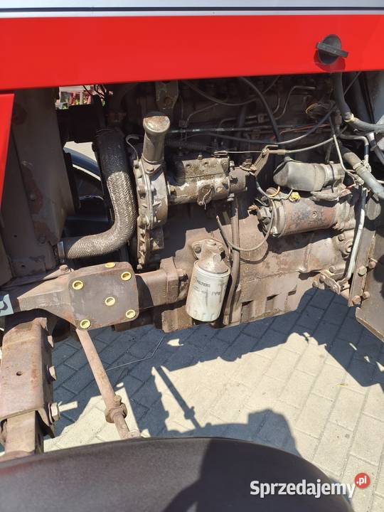 Massey Ferguson 675 Lubień Kujawski sprzedam
