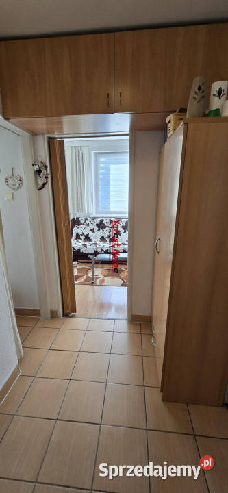Mieszkanie 4219m2 2 pokoje Pszów śląskie sprzedam