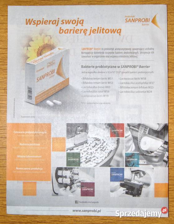 Koronawirus Gazeta Wyborcza Parczew