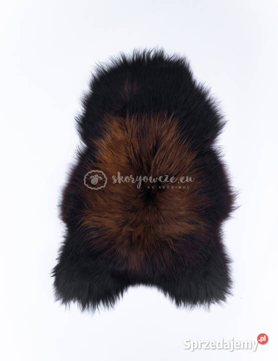 Skóra owcza Island farbowana wielokolorowa Szaflary