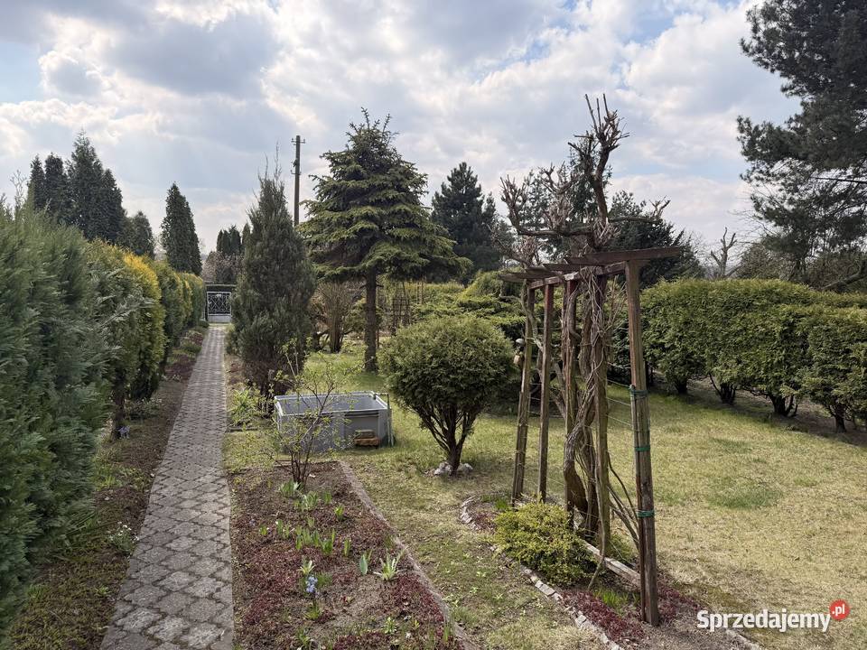 Ogródek dzialkowy ROD Azalia w Piekarach rekreacyjna Piekary Śląskie