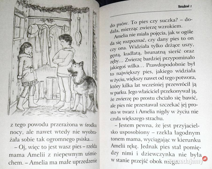 Zaopiekuj się mną Zimowy wilk Holly Webb Chełm