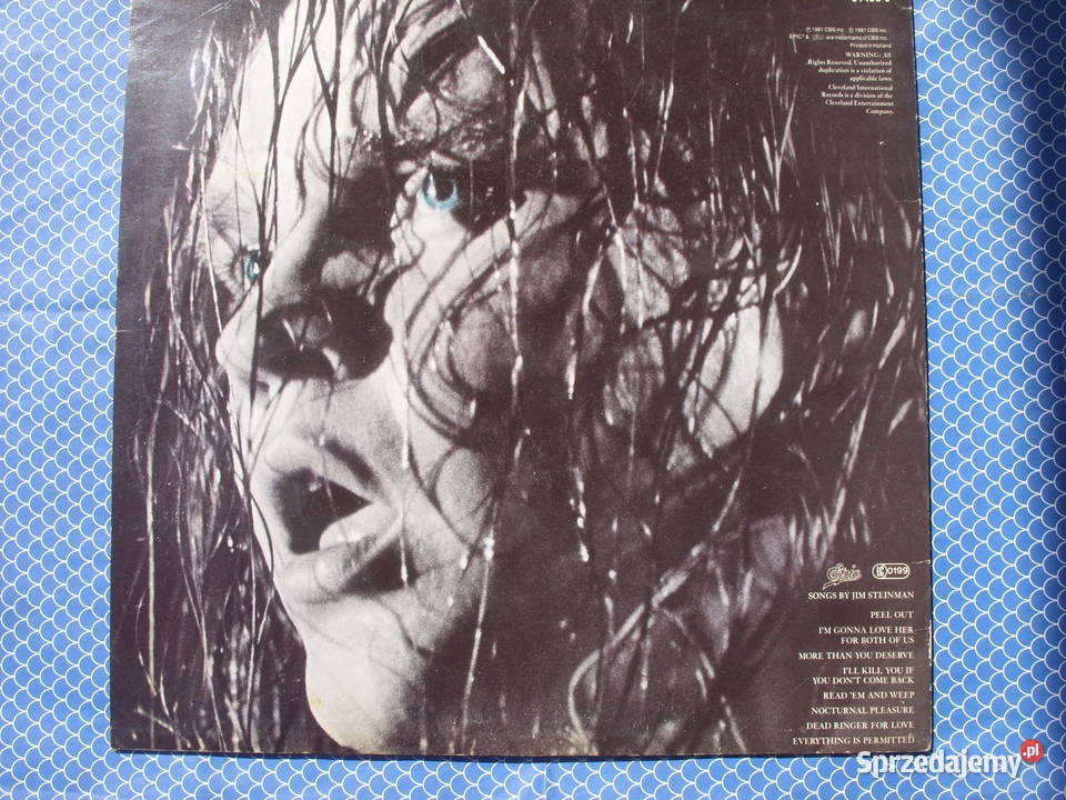 Winyl LP MEAT LOAFDEAD RINGER 1981 dolnośląskie Wołów