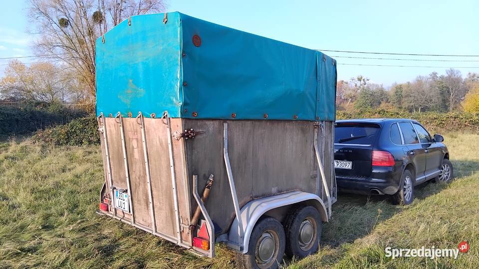 Przyczepa do przewozu koni niemiecka dolnośląskie Oława