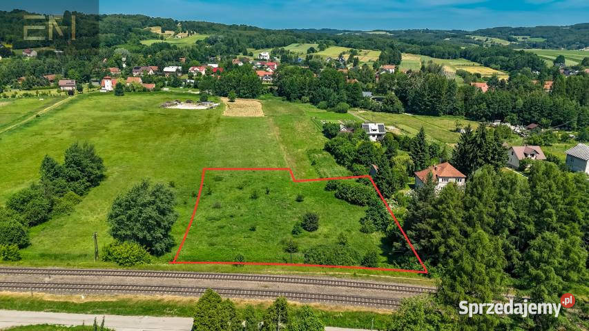 Grunt 4000m2 Dobrzechów sprzedam