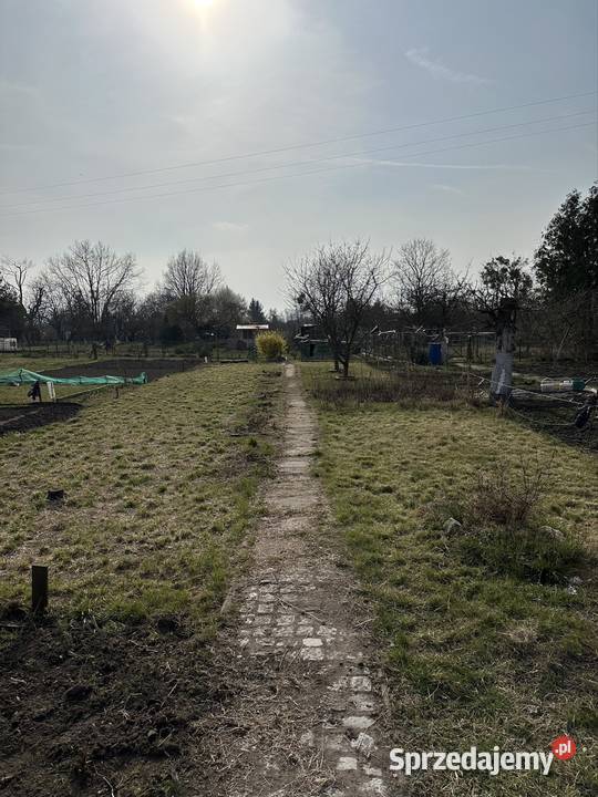 Odstąpię prawo użytkowania działki ROD 39zł/m2 dolnośląskie Wrocław