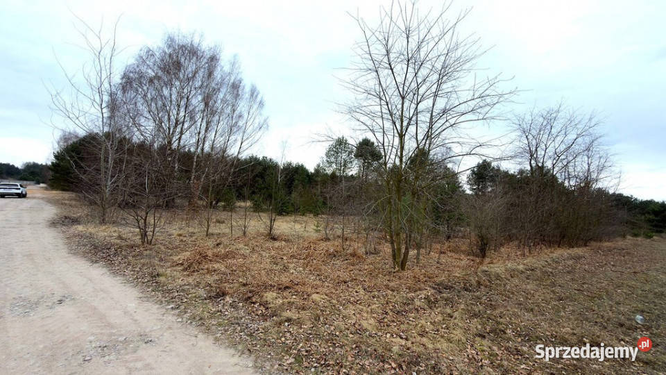 Działka inwestycyjna z MPZP k Skierniewic Strobów