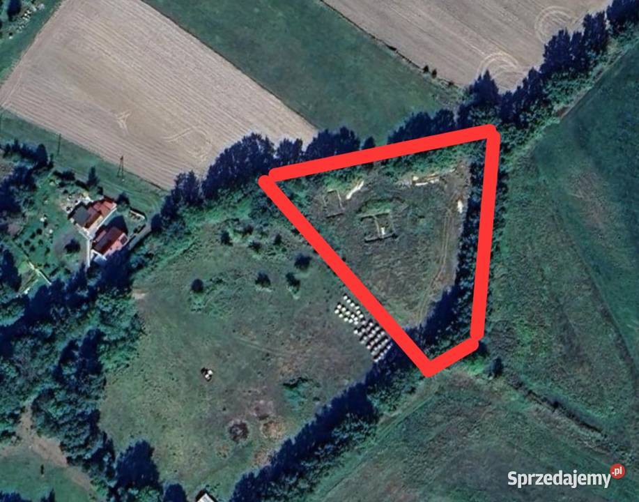 Sprzedam działkę 045ha plus 3ha ziemi lubuskie Jasionna