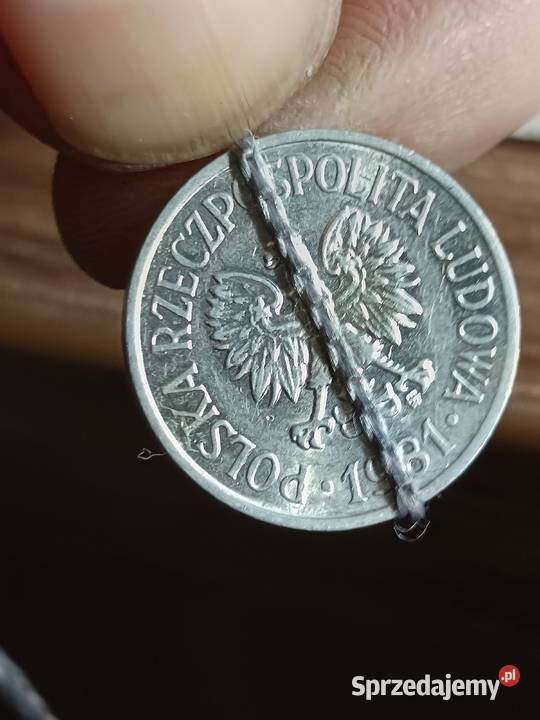 Sprzedam 20 gr 1981 r mala skretka