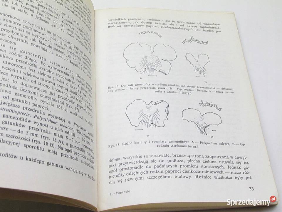 Paprocie Karpowicz Wanda podkarpackie Przemyśl