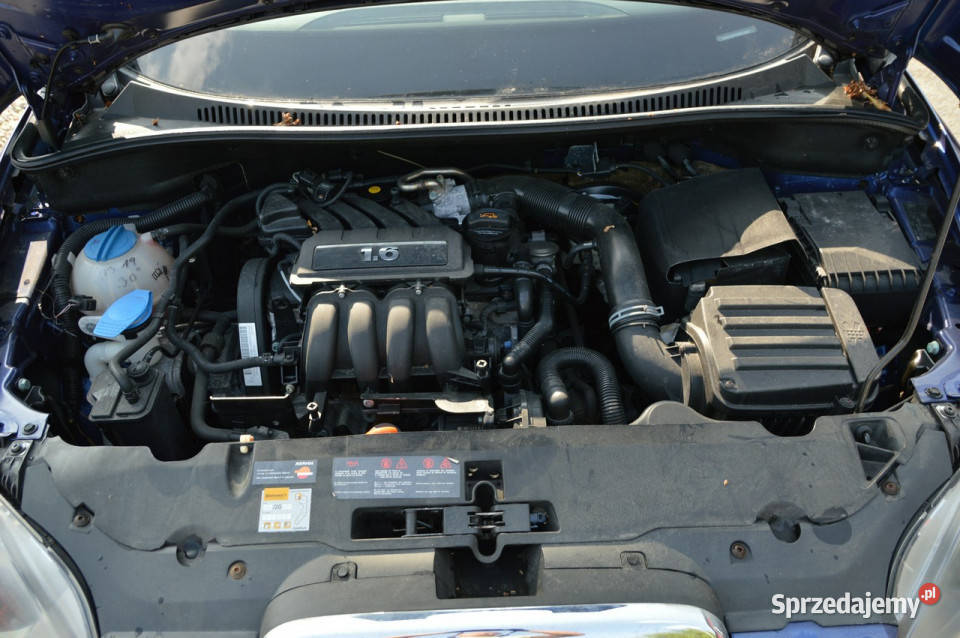 Seat Altea Sprowadzony Opłacony klima I 2004 Chełm