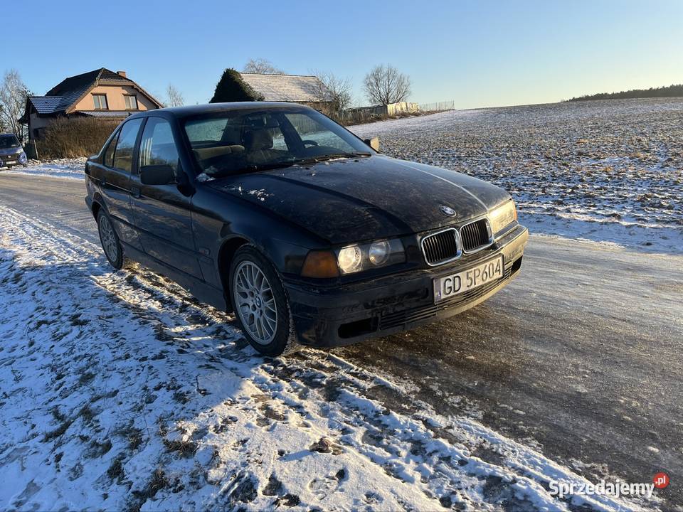 Bmw e36 318i gruz kujawsko-pomorskie Łachowo