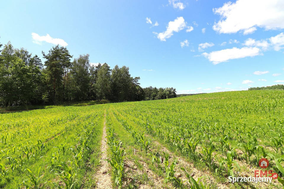 Działka 1100m2 Rożyńsk Wielki sprzedam