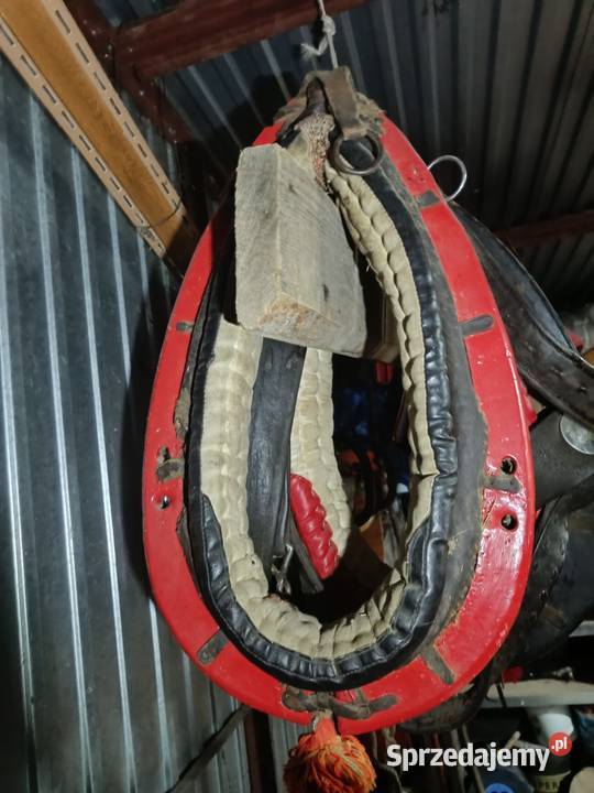 sprzedam homonto na lekkiego konia Wola Radłowska