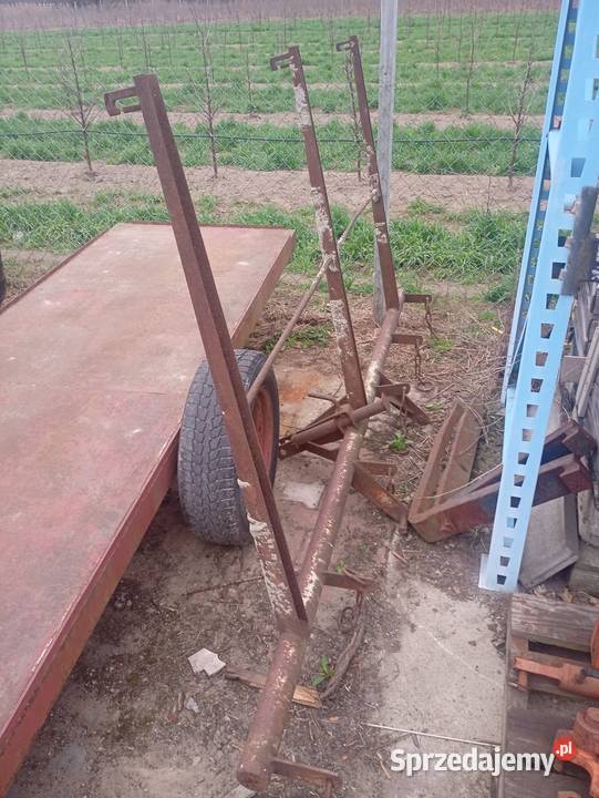 Brony 3 mazowieckie Grójec