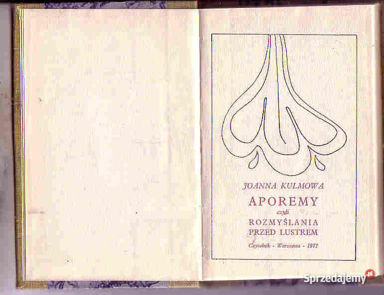 4530 APOREMY CZYLI ROZMYŚLANIA PRZED LUSTREM JOA poezja