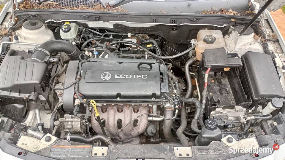 Insignia Anglik na części 18 ecotec śląskie Poręba