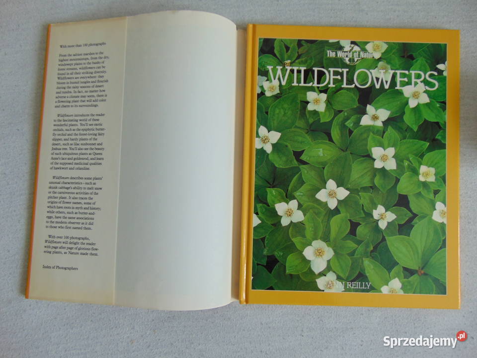 Album Wild Flowers Ann Reilly Lublin