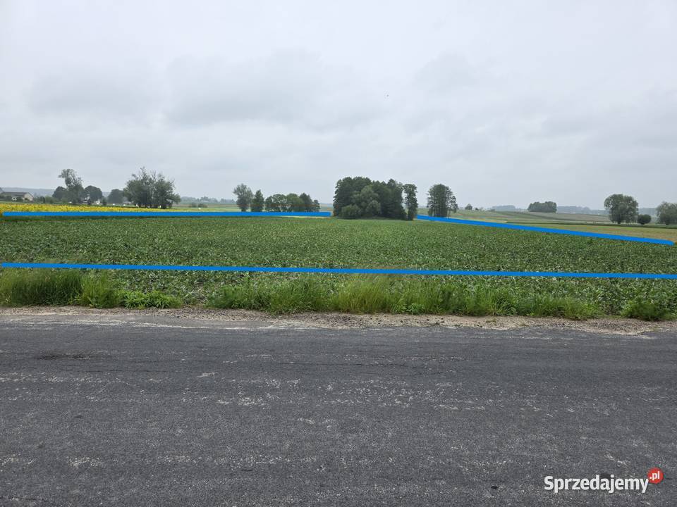 Działka rolna 8313m2 III klasa ziemi 8313m2 mazowieckie Regimin