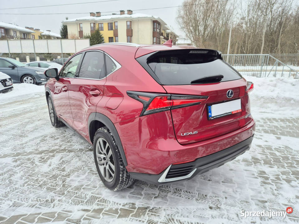Lexus NX Bezwypadkowy I 20142021 Samochody osobowe Konstancin-Jeziorna