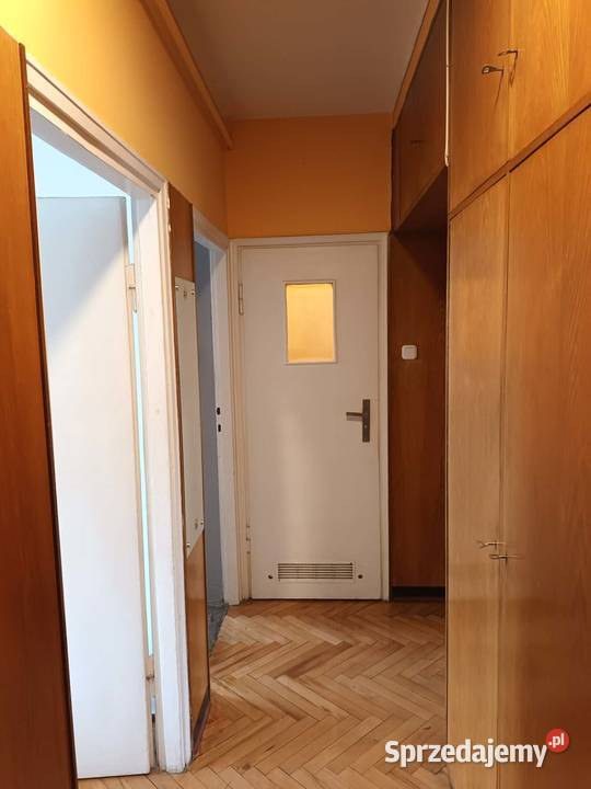 mieszkanie na wynajem