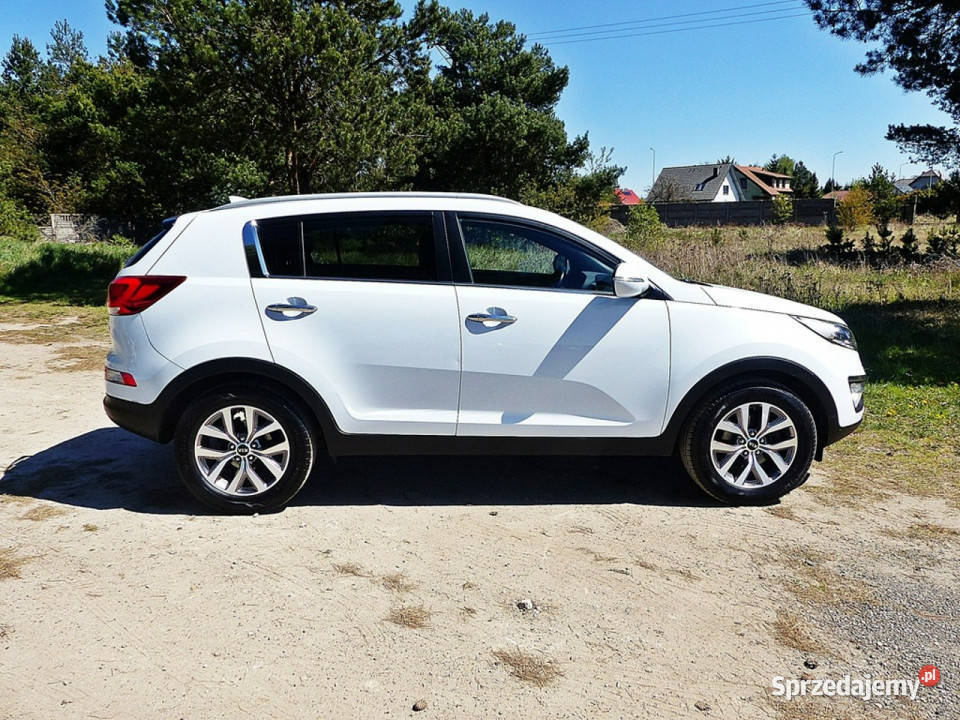 Kia Sportage 17 Piła