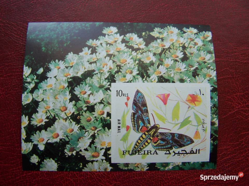Fujeira 1972 MNH Fauna Motyle ćmy Filatelistyka Tychy sprzedam