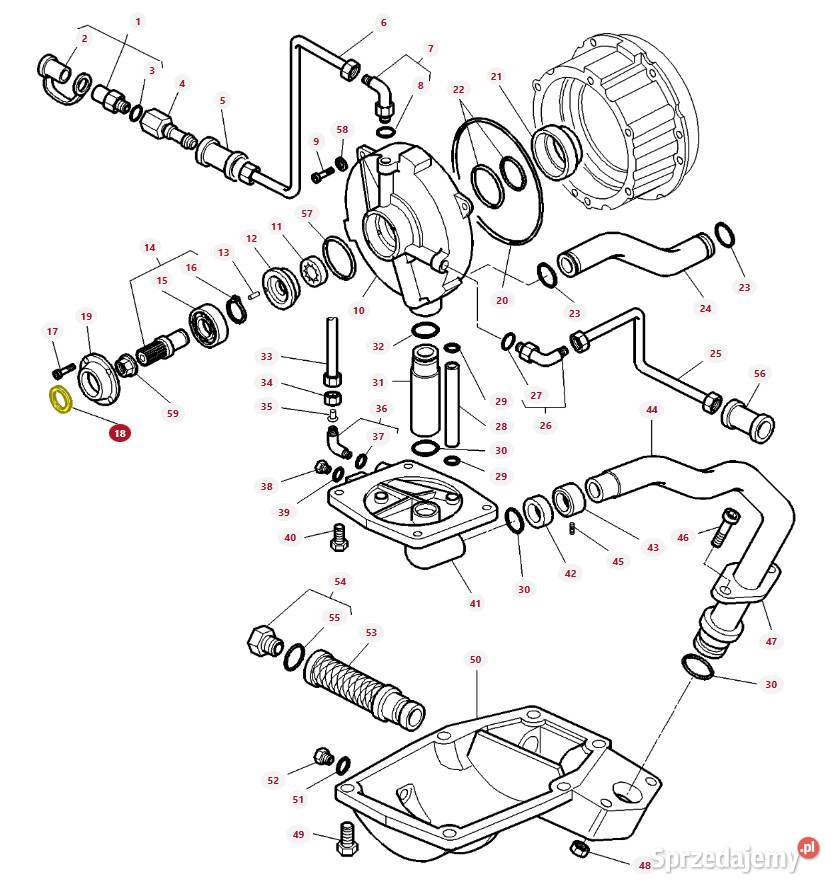 Uszczelniacz sprzęgła Massey Ferguson 3619231M1