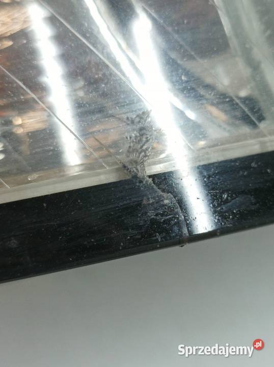 LAMPA PRZÓD PRAWA EUROPA LIFT 31265695RH Volvo