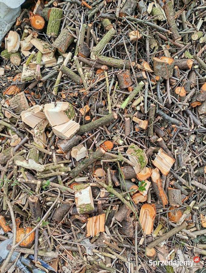 Zrębki drzewne Cewice