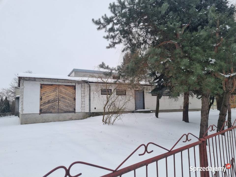 Lokal użytkowy wynajem lubelskie Serniki