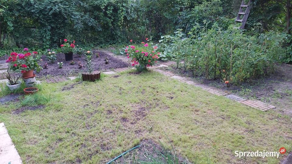Sprzedam działkę ROD Warszawa sprzedam