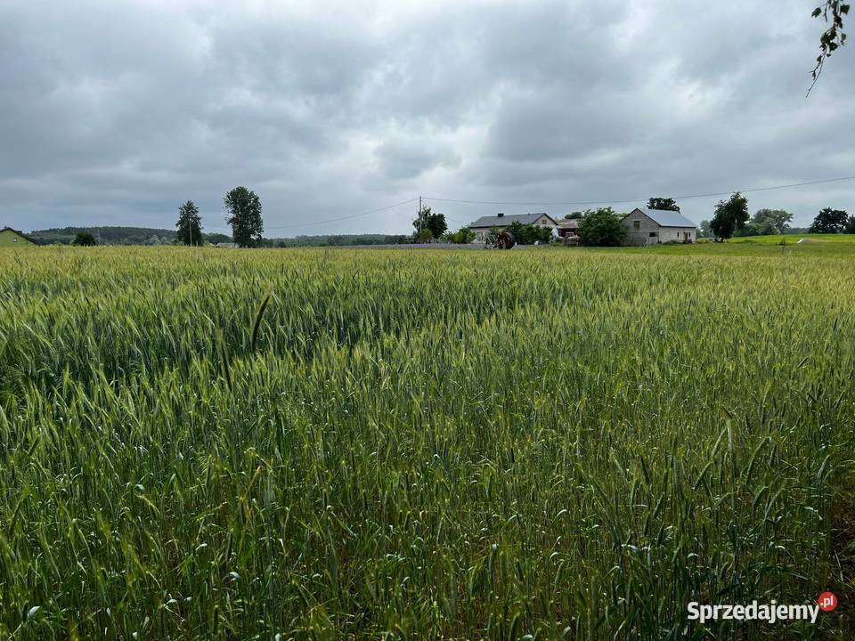 Działka budowlana z dostępem do jeziora Nieruchomości Rumunki Witkowskie