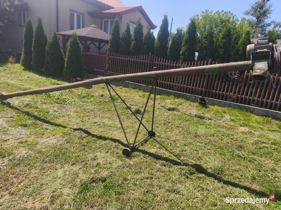 Żmijka do zboża