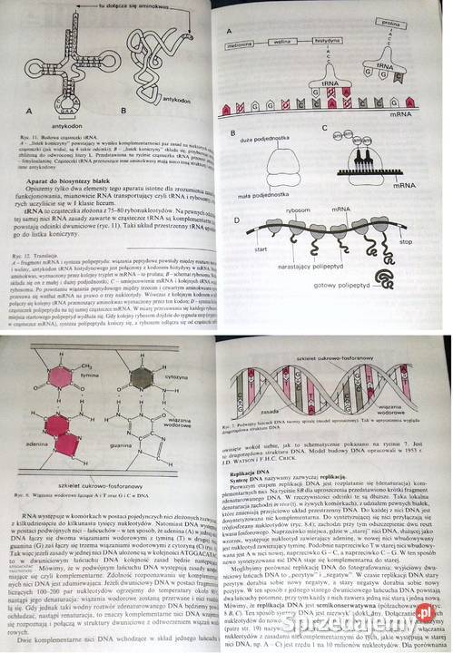 Biologia kl 3 i 4 Wacław Gajewski Aleksandra Kultura i Rozrywka Chełm sprzedam
