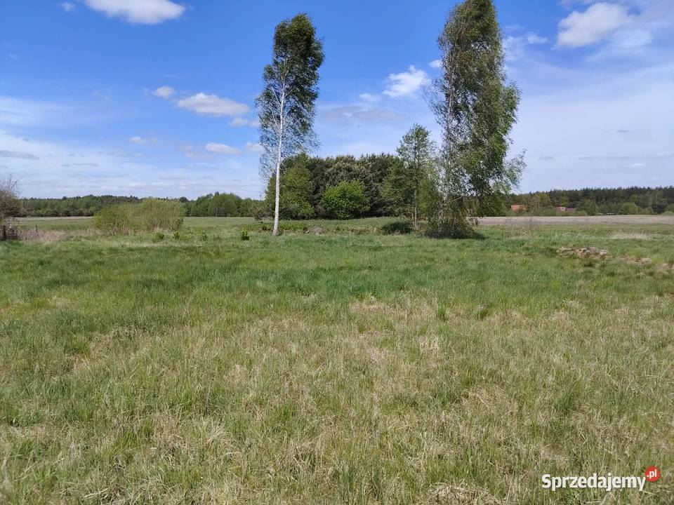Działka na sprzedaż w Rychliku Sprzedaż Rychlik