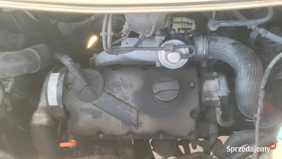 Volkswagen Transporter T5 solidny w pracy Auto Opole