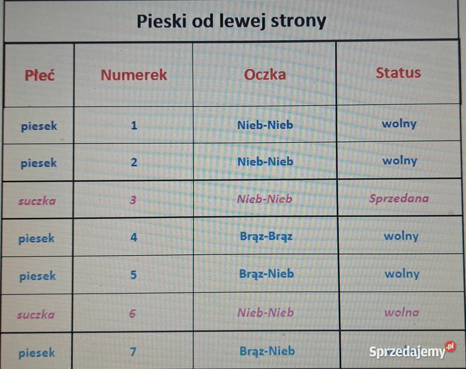 Husky szczenięta z rodowodem sprzedam Smardzewice