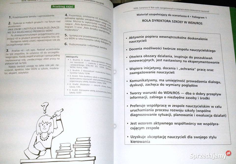 Program nowa szkoła Wewnątrzszkolne doskonalenie Chełm sprzedam