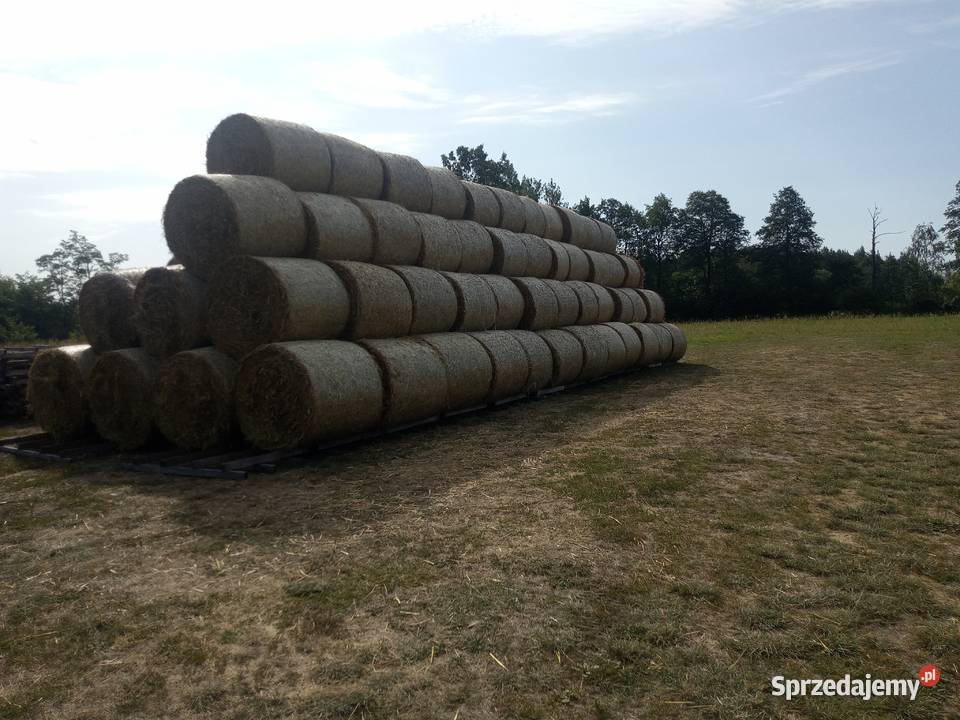 Słoma w balotach Radom