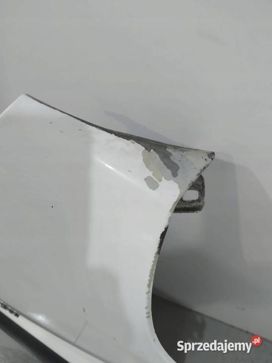 BŁOTNIK PRAWY PRZÓD Fiat Ducato III 2007 Rok produkcji 2014