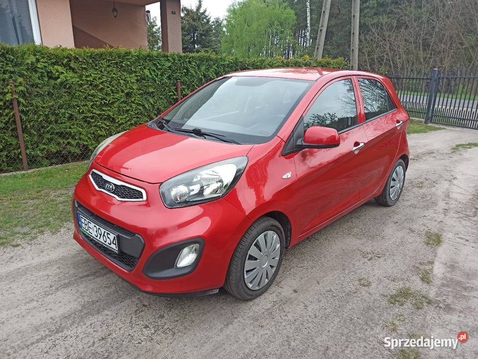 Kia Picanto Zadbany bezwypadkowy Bełchatów sprzedam