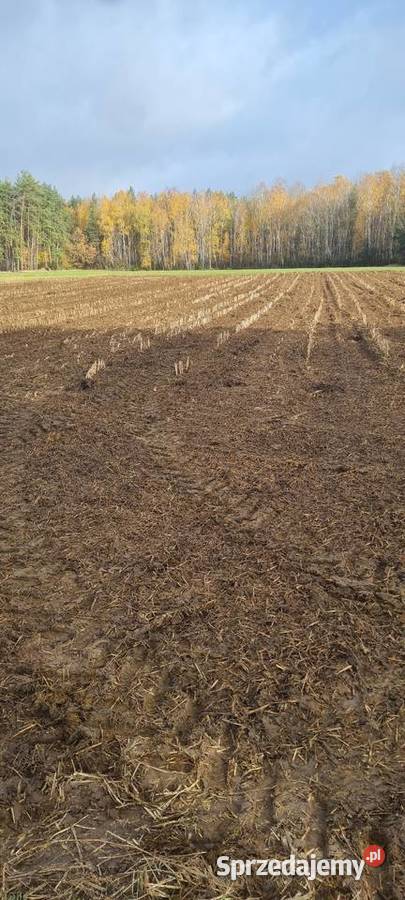 Rozrzutnik obornika Rozrzutniki obornika Wizna