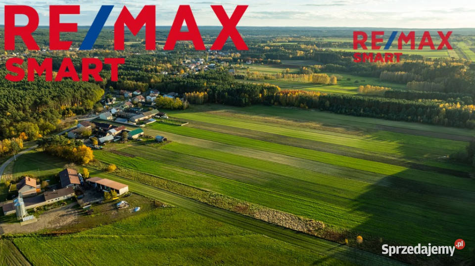 Dom z potencjałem w Toporowie z dużą działką 10844m2 Sprzedaż Toporów