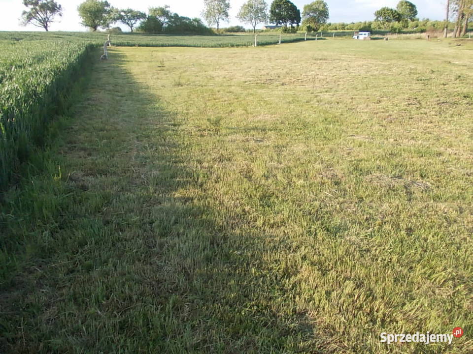 Mieszkowice Działka 5477m2