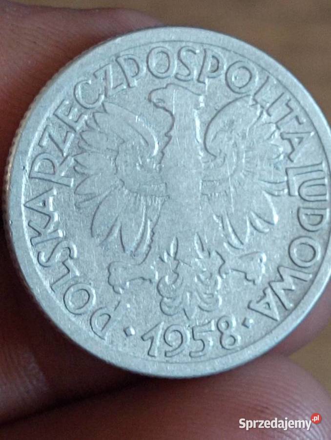Sprzedam cb 2 zl 1958 r Numizmatyka Chełm