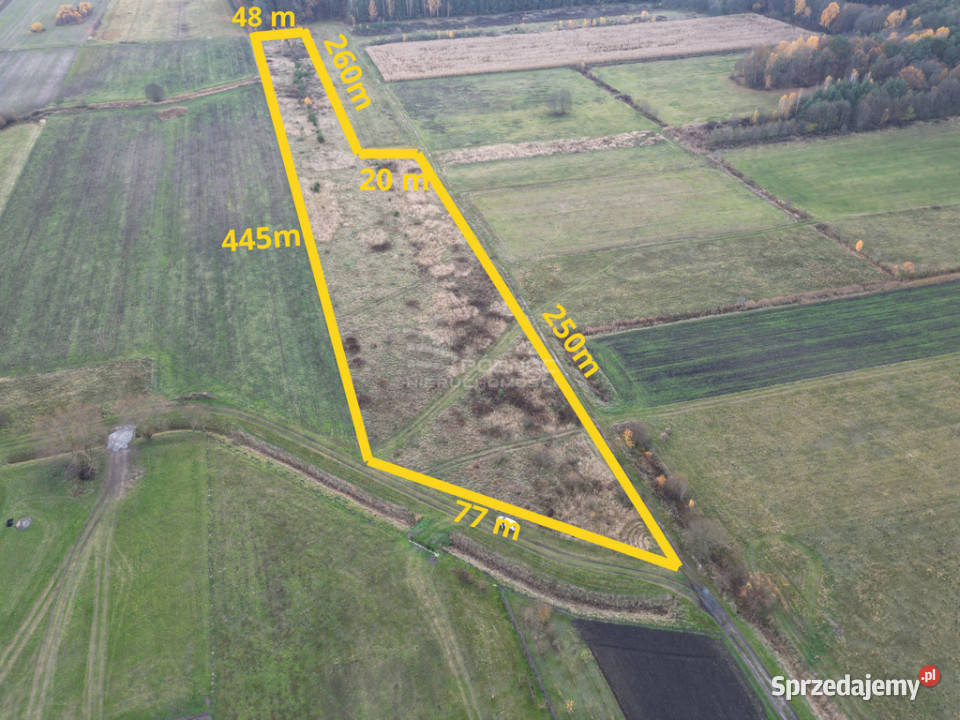 Działka rolna 247 ha Dominiczyn gmina Stary Brus